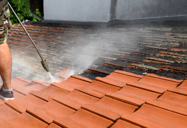 Best Sidewalk Pressure Washing  in Lewistown, MT