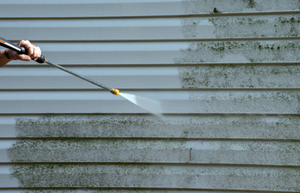 Best Residential Pressure Washing Services  in Lewistown, MT