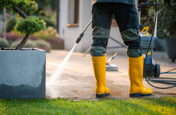 Best Best Pressure Washing Companies  in Lewistown, MT